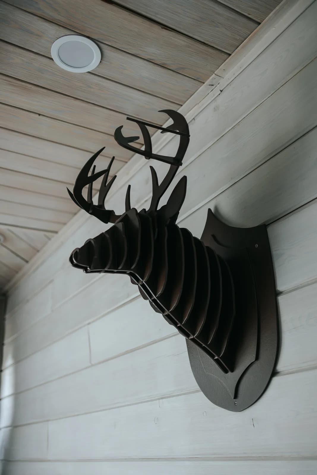 Фото галереи 21