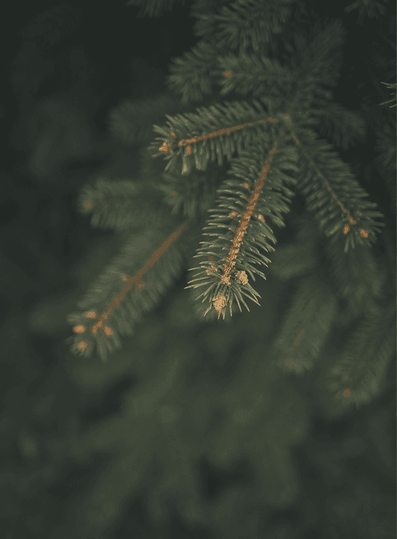 Резервация